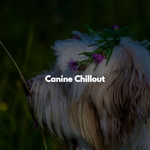 Canine Chillout - Feel Good Morning Music