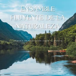 Ensamble Fluyente De La Naturaleza: Armonía De Relaxación Junto Al Arroyo - Música Ambiente