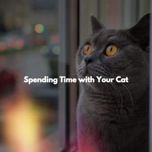 Spending Time with Your Cat - Easy Listening Background Music