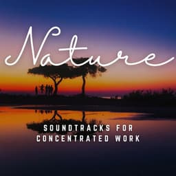 Office Zen: Soundtracks for Concentrated Work - Path to Peace