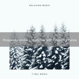 Prosperity Under a Mistletoe with Relieving Tunes - Christmas White Noise
