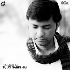Tu Jo Nahin Hai - Sajjad Ali