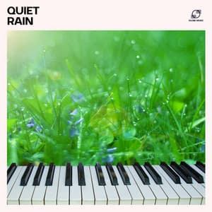 Quiet Rain - Piano Bar 50
