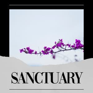 Sanctuary - Recording Nature