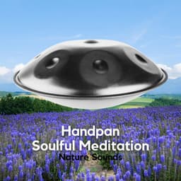 Handpan, Soulful Meditation - Relaxing Hang Drum Nature