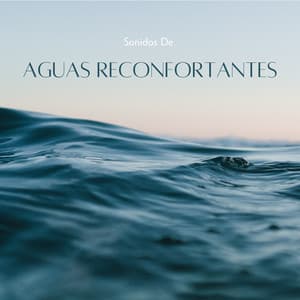 Sonidos De Aguas Reconfortantes - Fábrica de Sonidos de Lluvia STHLM
