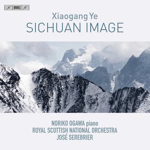 Xiaogang Ye: Sichuan Image - Xiaogang Ye