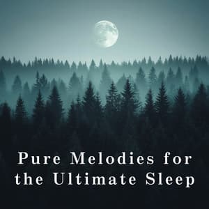 Pure Melodies for the Ultimate Sleep - Relax α Wave