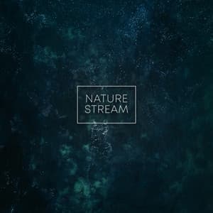 Nature Stream - Spa Music