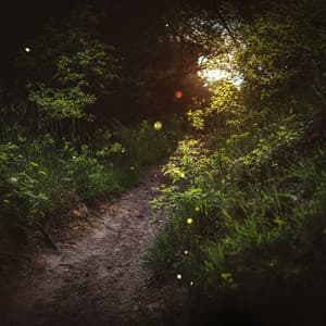 Enchanted Wilderness: Nature's Ethereal Melodies - Jim Garden