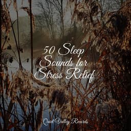 50 Sleep Sounds for Stress Relief - The Relaxing Sounds of Water