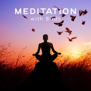 Meditation with Birds - Singing Birds Zone