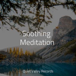Soothing Meditation - Sleep Sound of Nature