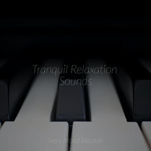 Tranquil Relaxation Sounds - Ivory Mood