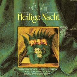 Heilige Nacht - Advents Und Weihnachtsmusik Aus Dem Hohen Dom Zu Mainz - n/a