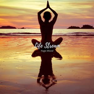 Life Stream: Yoga Flow Music - Yoga mood
