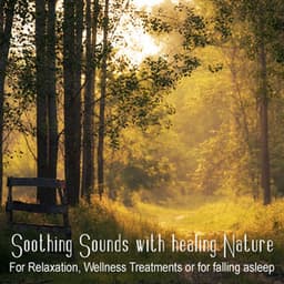 Soothing Sounds and Healing Nature - For Relaxation, Wellness Treatments or for falling asleep - Wellness Pur
