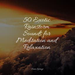 50 Exotic Rainstorm Sounds for Meditation and Relaxation - Deep Focus