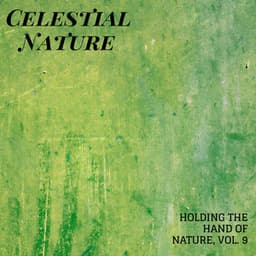 Celestial Nature - Holding the Hand of Nature, Vol. 9 - Sleep Crickets