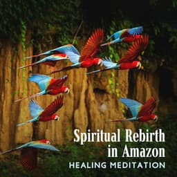 Spiritual Rebirth in Amazon: Healing Meditation with Beautiful Soundscapes, Journey to the Earth Anahata, Deep Tropical Forest Music - Spiritual Healing Music Universe