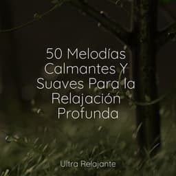 50 Melodías Calmantes Y Suaves Para la Relajación Profunda - Musica para Meditar