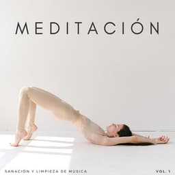 Meditación: Sanación Y Limpieza De Música Vol. 1 - Frecuencias de tierra y frecuencias de 432 Hz