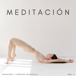 Meditación: Sanación Y Limpieza De Música Vol. 1 - Frecuencias de tierra y frecuencias de 432 Hz