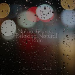 Nature Sounds - Relaxing Natural Rain - Nature Sound Collection