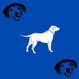 Music for Perfect Puppies - Wicked Jazz Quintet - Calma Música para Perros