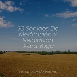 50 Sonidos De Meditación Y Relajación Para Yoga - Masajes Spas