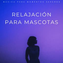 Relajación Para Mascotas: Música Para Momentos Serenos - Hippidion