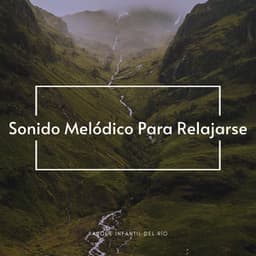Parque Infantil Del Río: Sonido Melódico Para Relajarse - Paisajes sonoros de agua