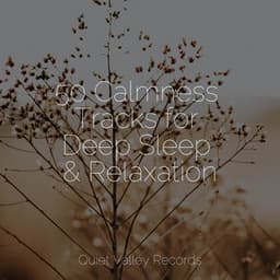 50 Calmness Tracks for Deep Sleep & Relaxation - Relaxing Sleep Sound