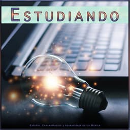 Estudiando: Estudio, Concentración y Aprendizaje de La Música - Colectivo de Música de Estudio