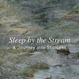 Sleep by the Stream: A Journey into Stillness - Sleep Playlist