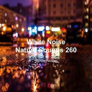 White Noise 260 - White Noise