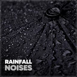 Rainfall Noises - Rain Radiance