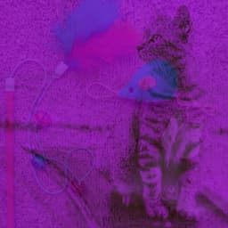 Pulsating Background for Lush Kittens - Musica para Gatos