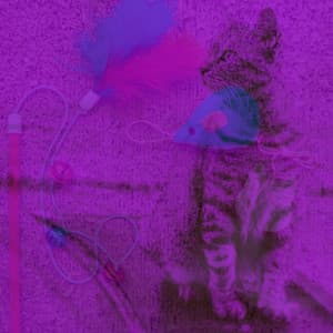 Pulsating Background for Lush Kittens - Musica para Gatos