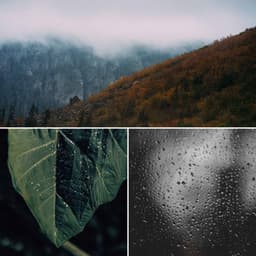 Feelings for Jazz Bars and Lounges - Deep Lounge Bar