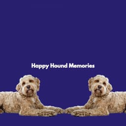 Happy Hound Memories - Study & Chill