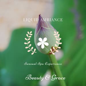 Sensual Spa Experience - Liquid Ambiance