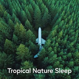 Tropical Nature Sleep - Sleep Sounds Ambient Noises