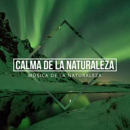 Calma de la Naturaleza - Música de la Naturaleza