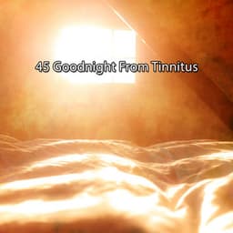 45 Goodnight From Tinnitus - The Deep Sleep Music Academy