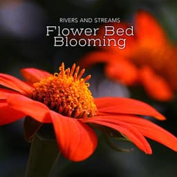 Flower Bed Blooming - Rivers and Streams