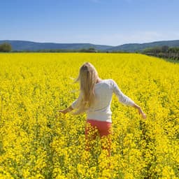 Celestial Soothe: Ambient Realms of Peace - Ethereal Notes