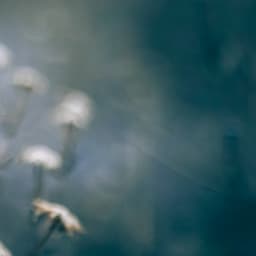 50 White Noise Sounds: Meditation Harmony - Focus Noise