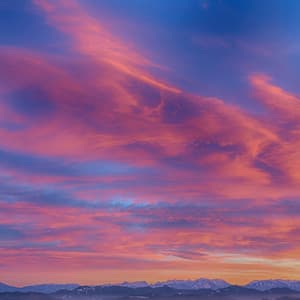 Peaceful Nature Melodies for Dogs - Dog Music