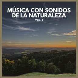 Música con Sonidos de La Naturaleza Vol. 1 - Lluvia Del Bosque